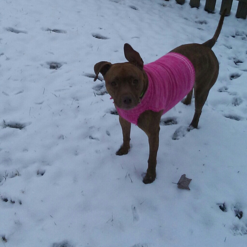 Meet your Posher, Kimberly✌💖😀 - Picture 5 of 6